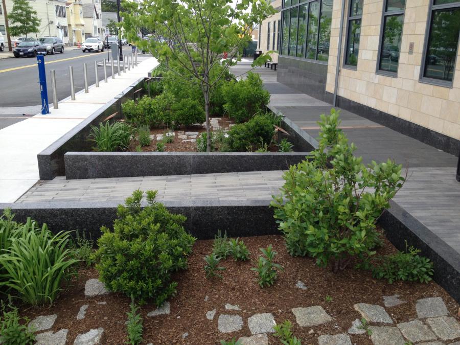 Rain Garden Boston Water and Sewer Commission